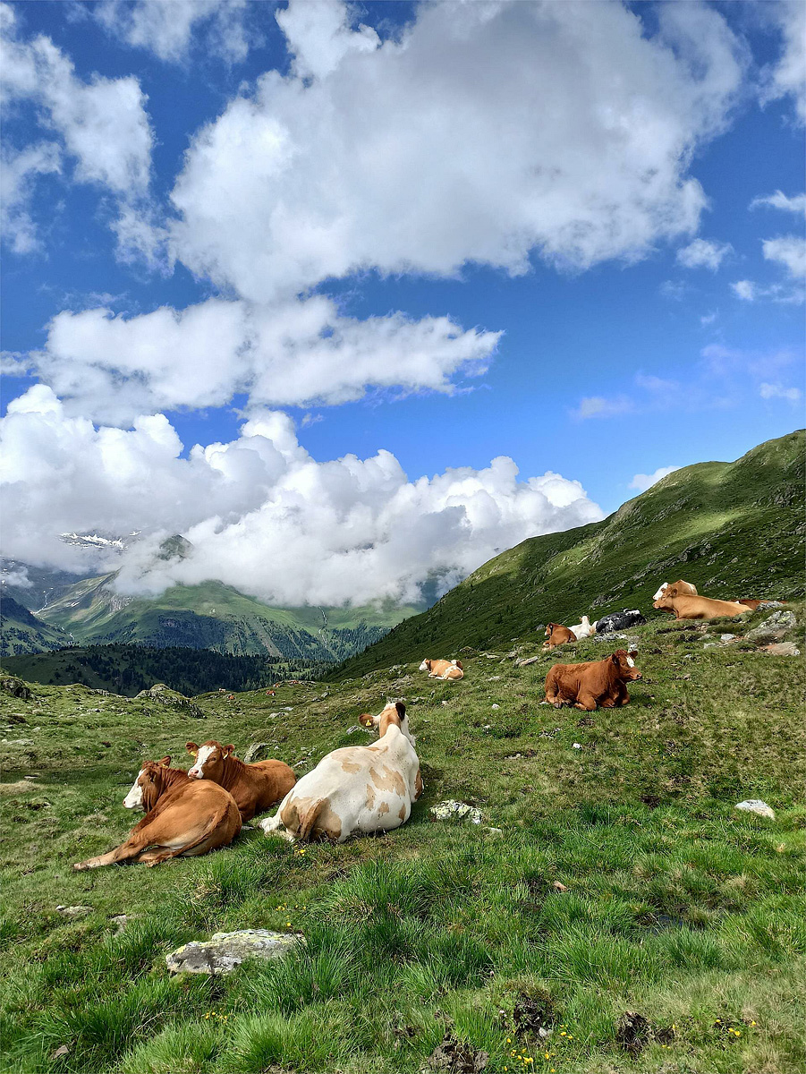 Trek Safari Kitzbühel - Tre Cime 43